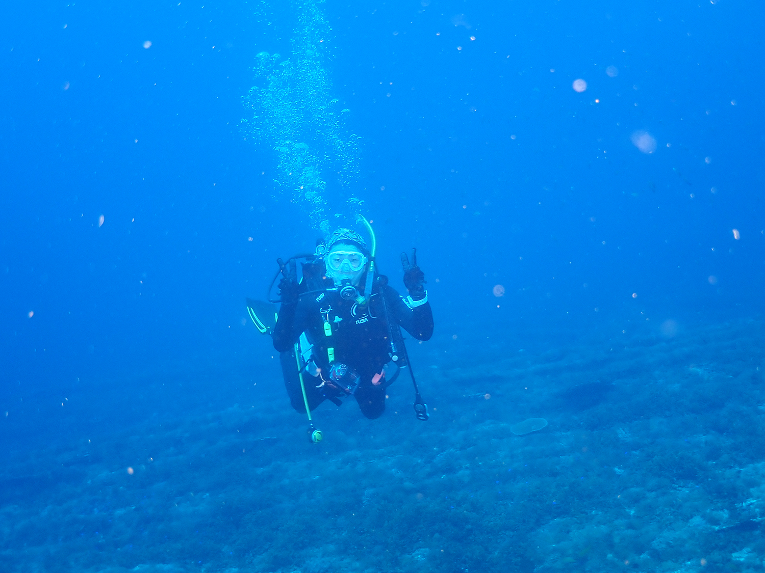 Dive in 玄海灘!230903 福岡県大牟田市ダイビングプロショップアクア｜SCUBA DIVING PRO SHOP AQUA